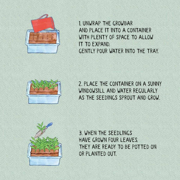 The Victorian Flowers Growbar