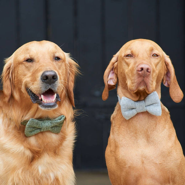 Bow Tie - Green Tweed