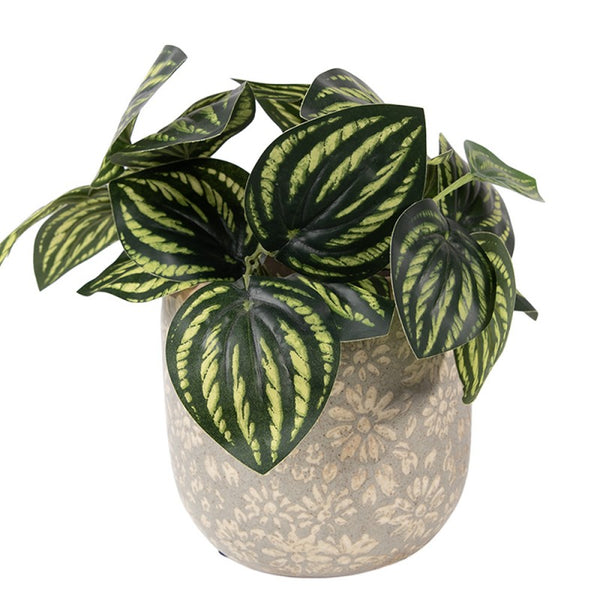 Daisy Ceramic Floral Planter