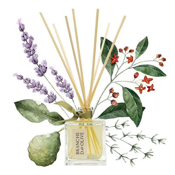 Garrigue Reed Diffuser by Branche d'olive