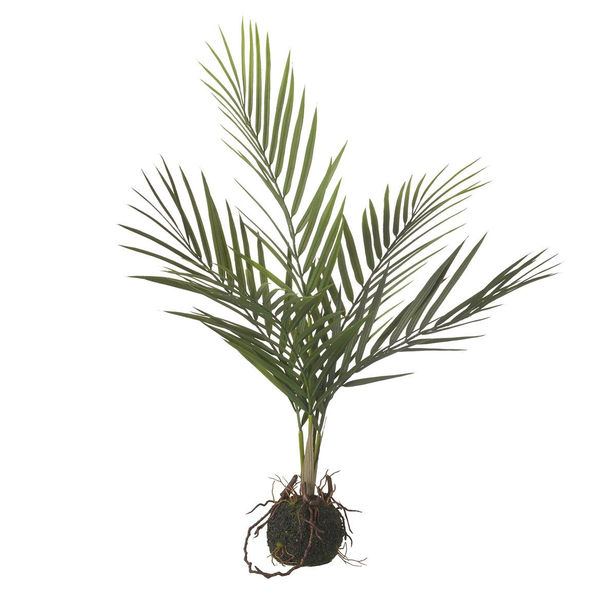 Faux Areca Palm In Soil